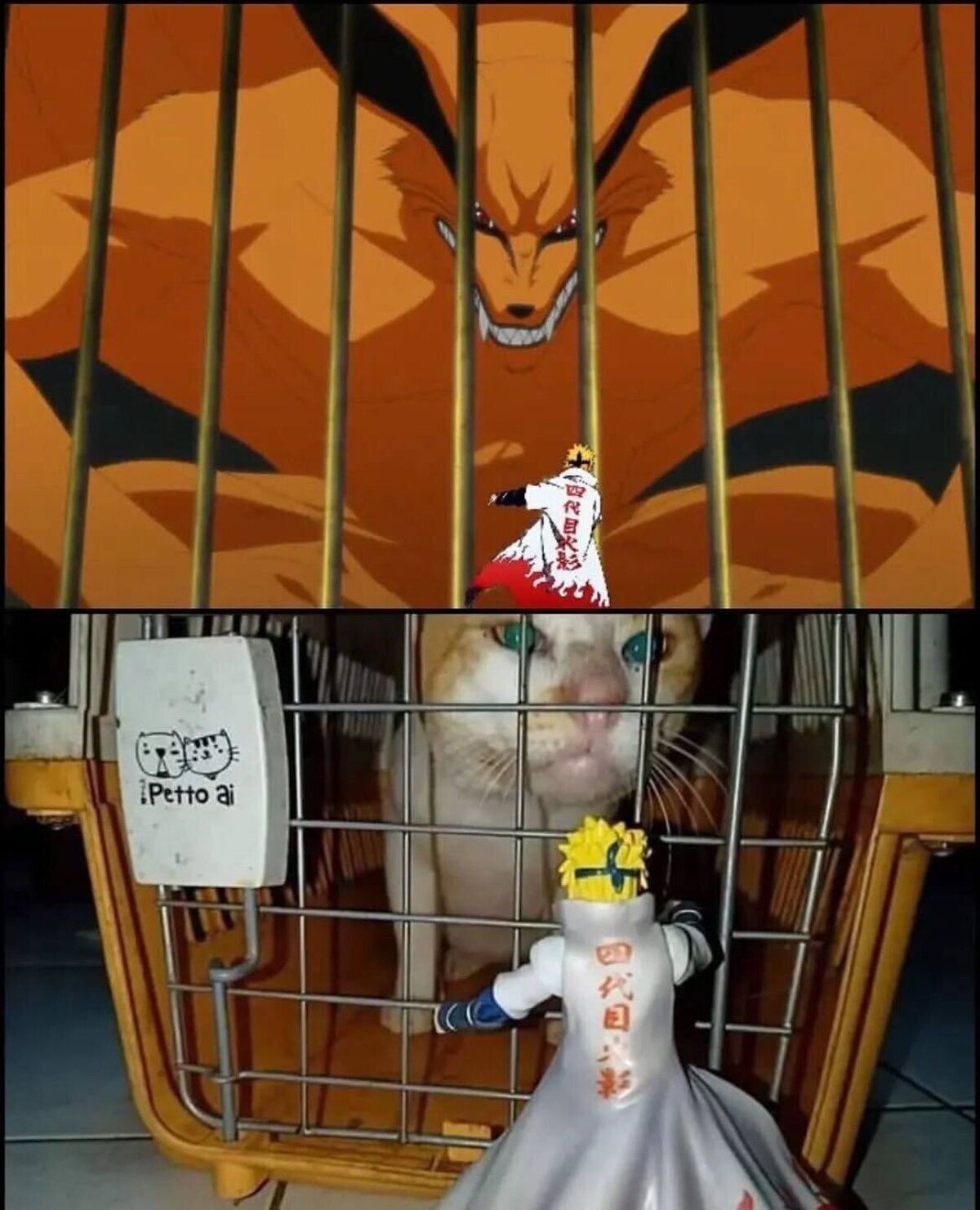 Y si, el gato se llama Kyubi