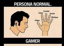 Los nombres de los dedos