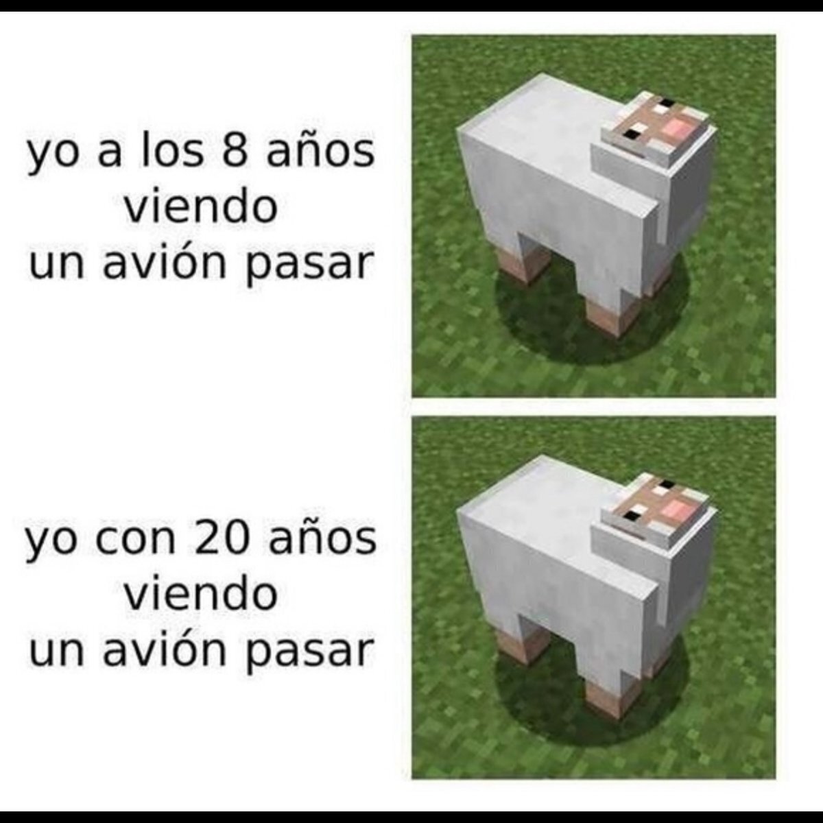 Se ven tan lindos allá arriba y tan lejos...
