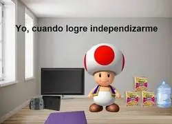 S&oacute;lo lo esencial