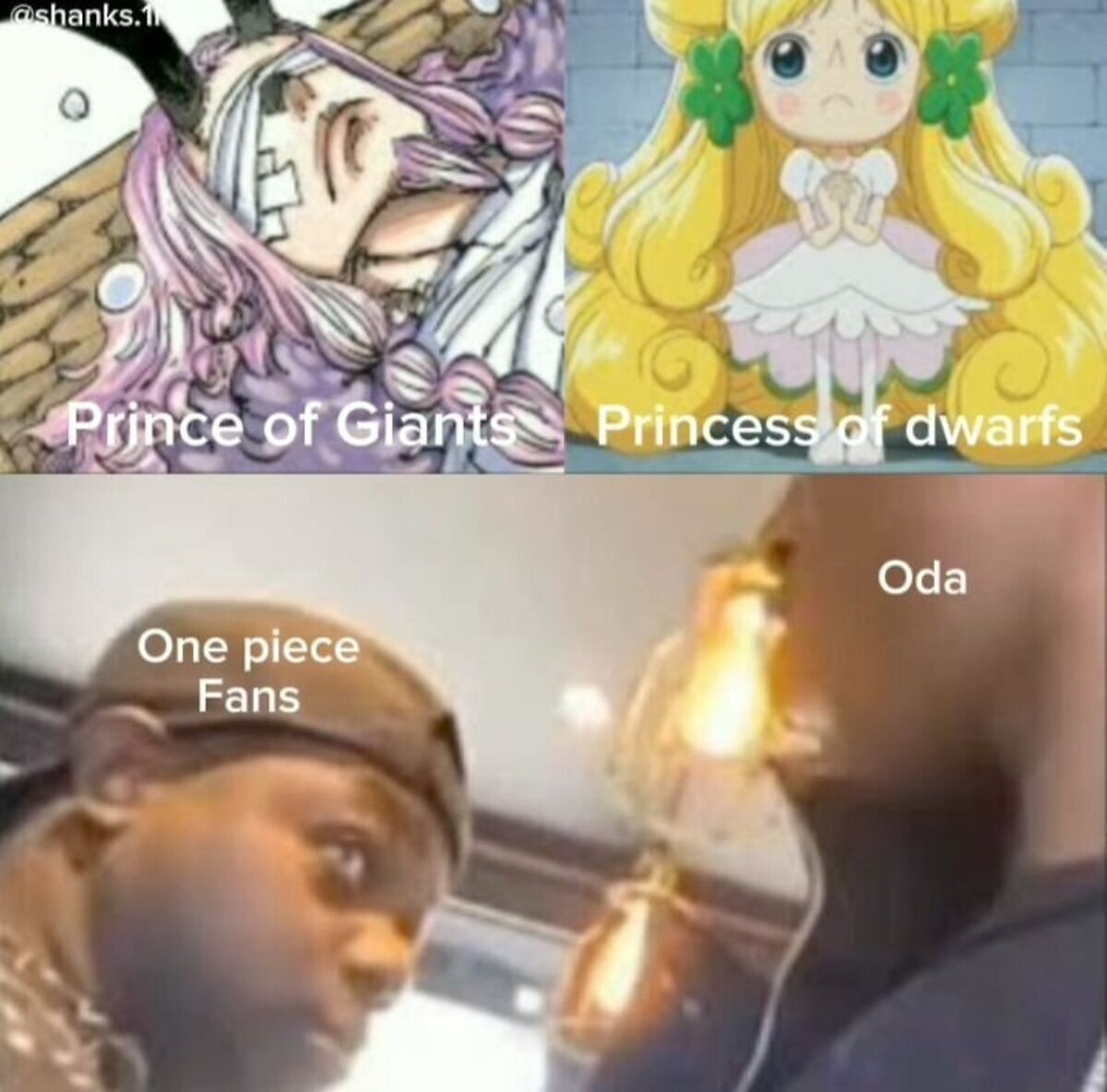 Oda, te estoy viendo...