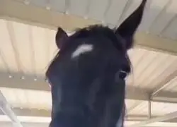 Yo leyendo los t&eacute;rminos y condiciones en la instalaci&oacute;n de un juego