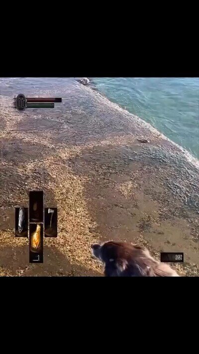 Yo de camino a matar la hidra esa de Dark Souls