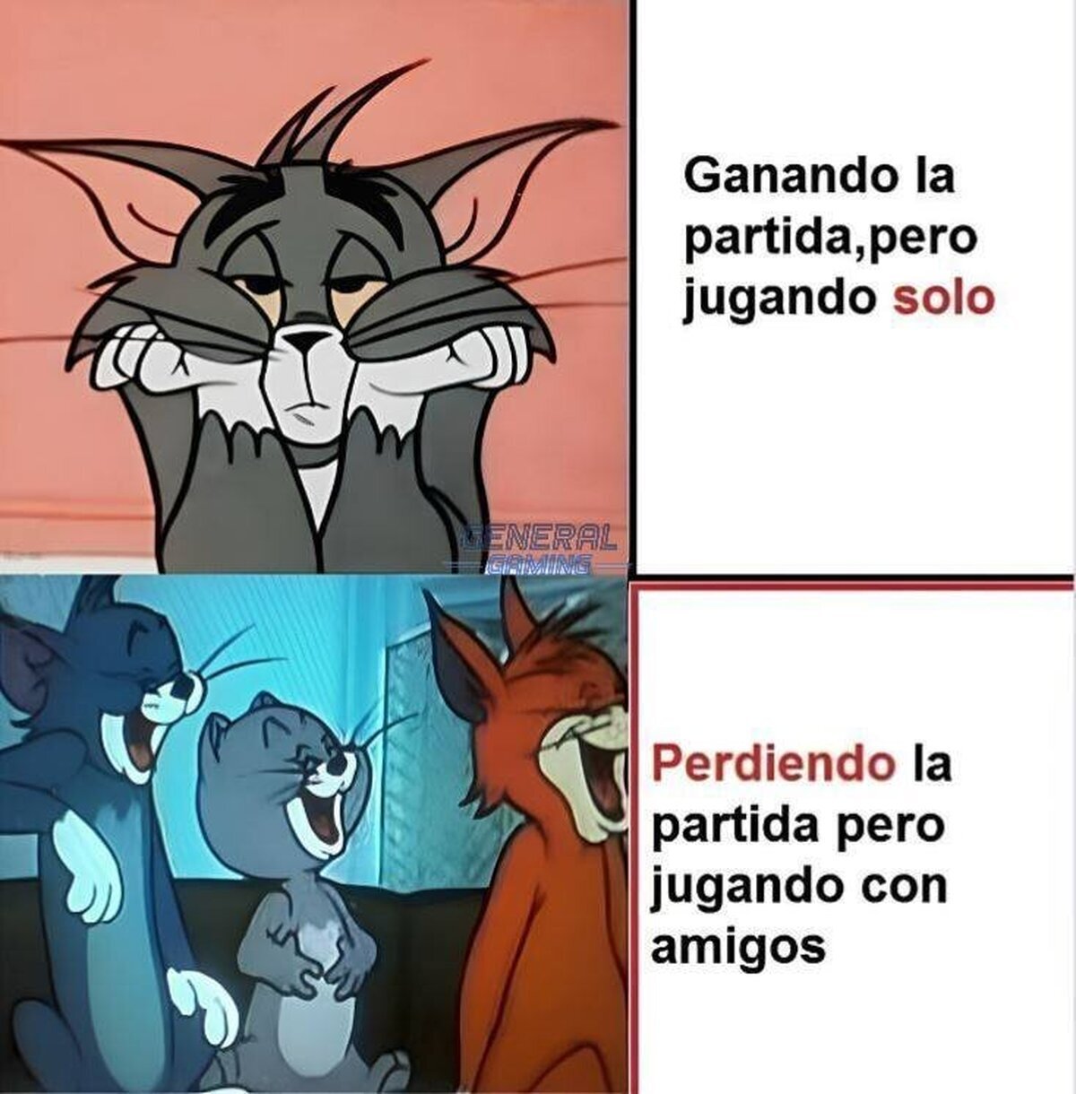 La alegría de la compañía