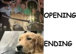 La aventura de sentimientos de cada anime