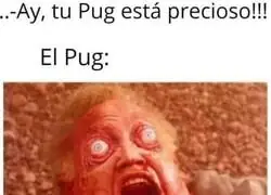 Los pugs son un fallo gen&eacute;tico. Ya basta