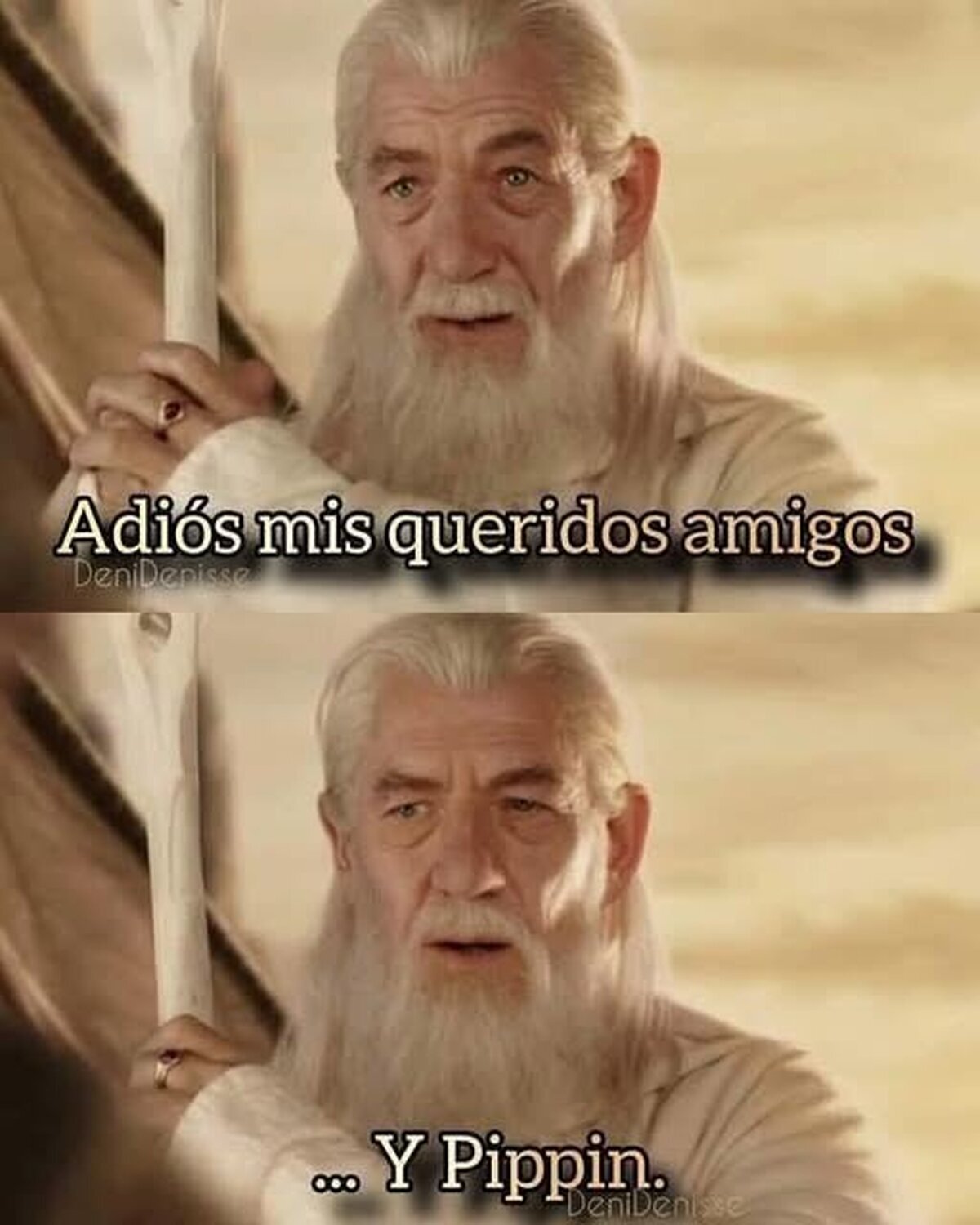 Fool of a took!