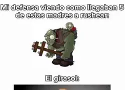 Toda mi estrategia defensiva depende de ese girasol