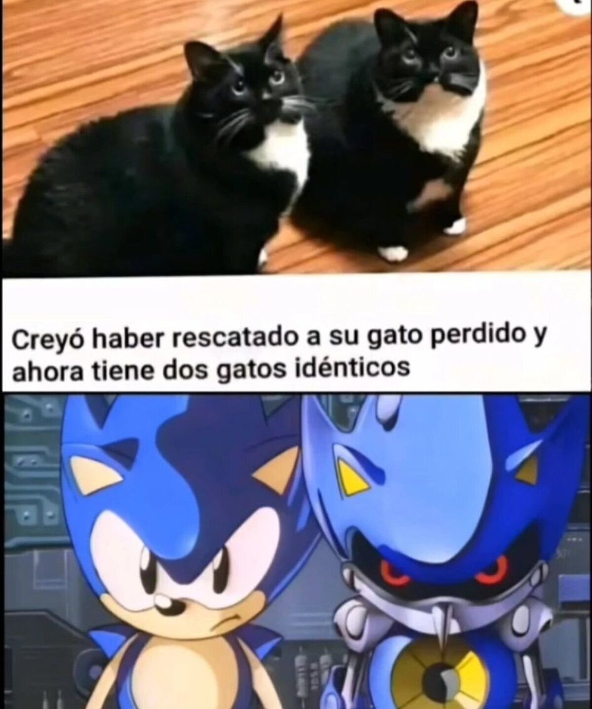 El gemelo malvado