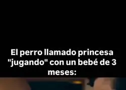 "S&oacute;lo te est&aacute; conociendo"