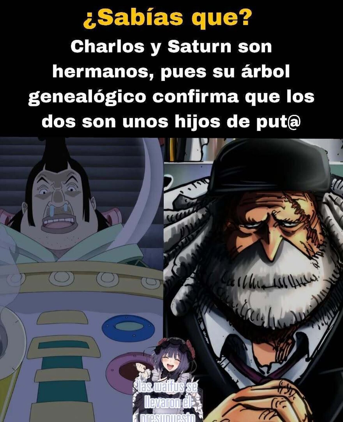 Mariejois debe caer