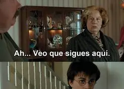 Est&aacute; en el nombre, querida