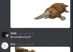 &iquest;Por qu&eacute; me rio yo de estas cosas?