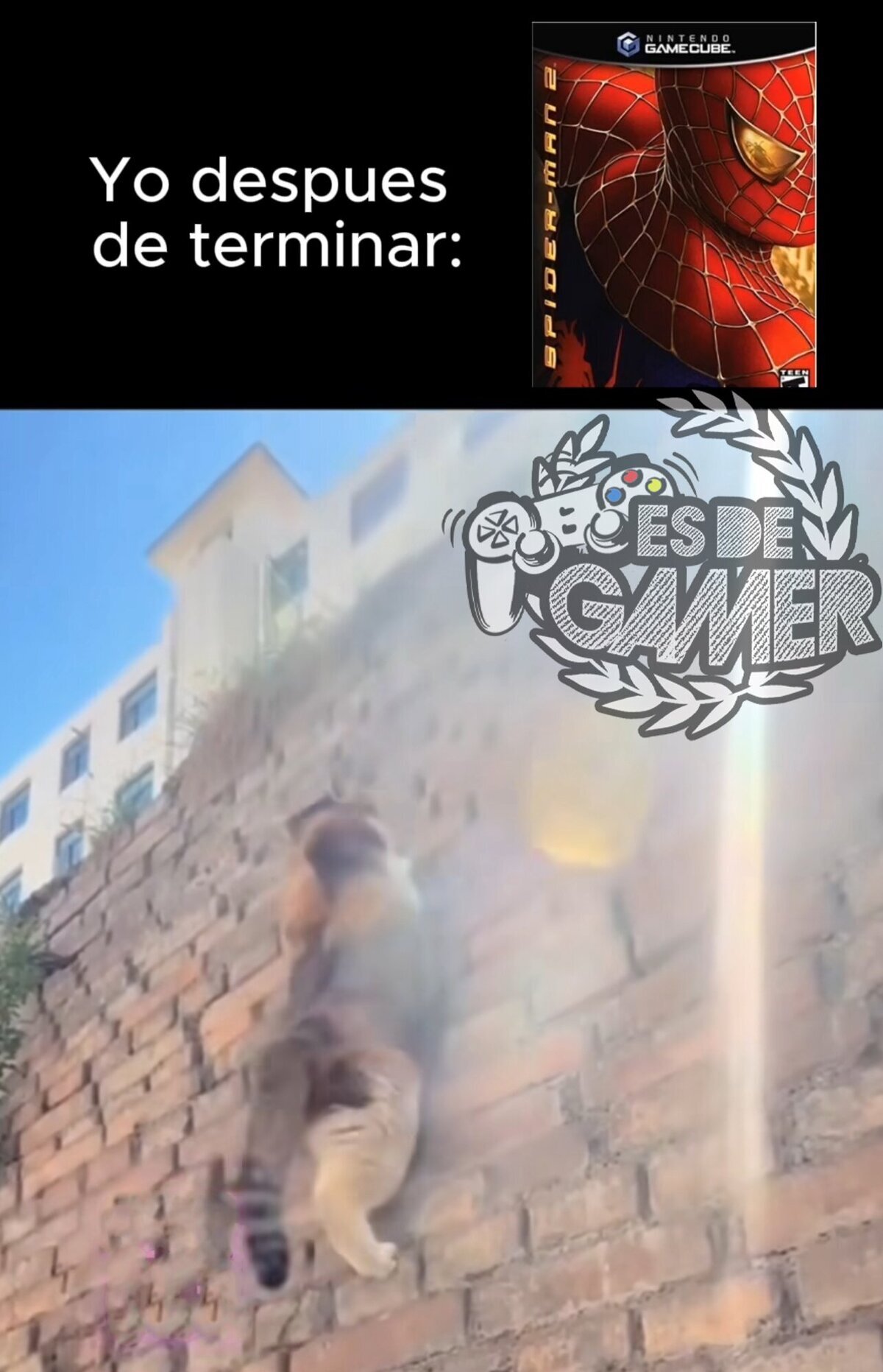 Me creo araña ahora