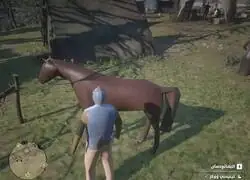 Por f&iacute;n logro correr Red Dead 2 en mi PC