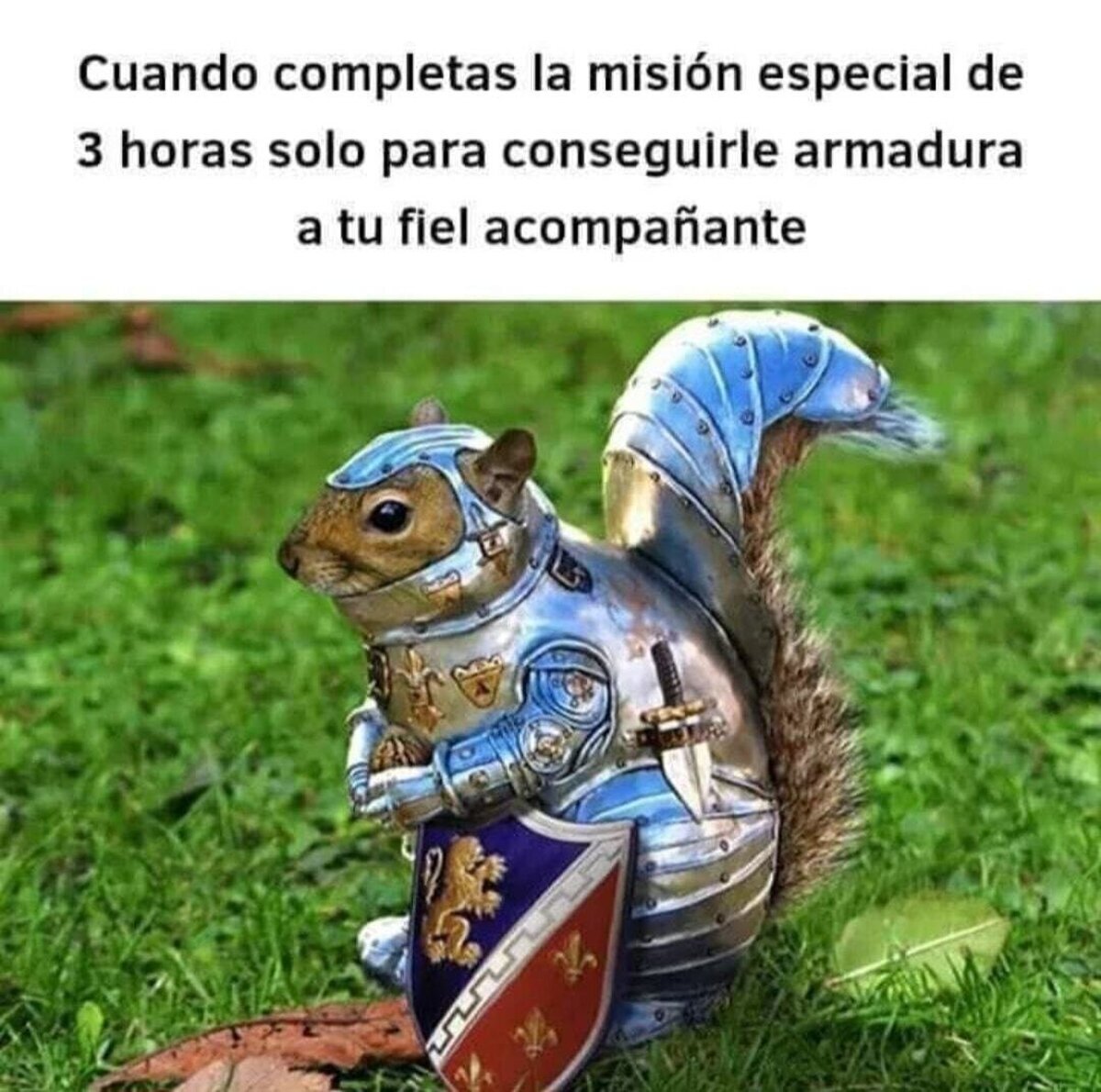 Se merece su armadura