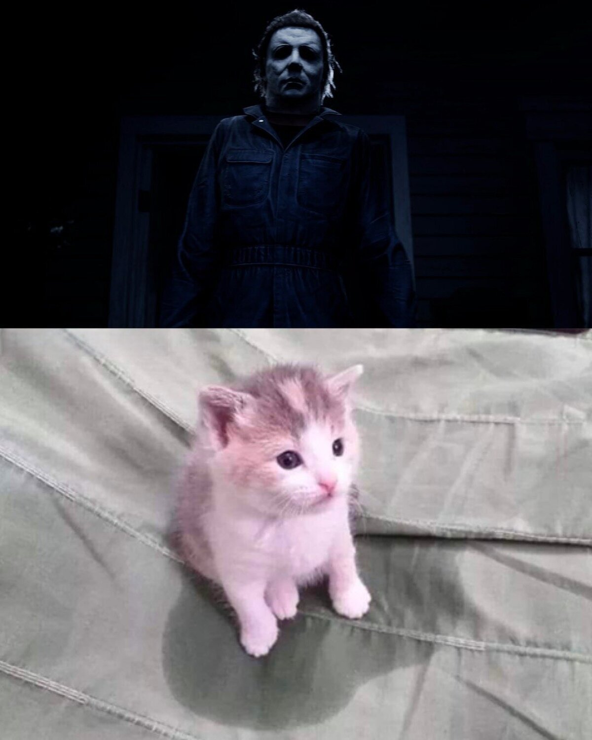 Michael Myers tendrá versión de videojuego. Que nervios