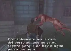 No parece un perro, para ser honestos