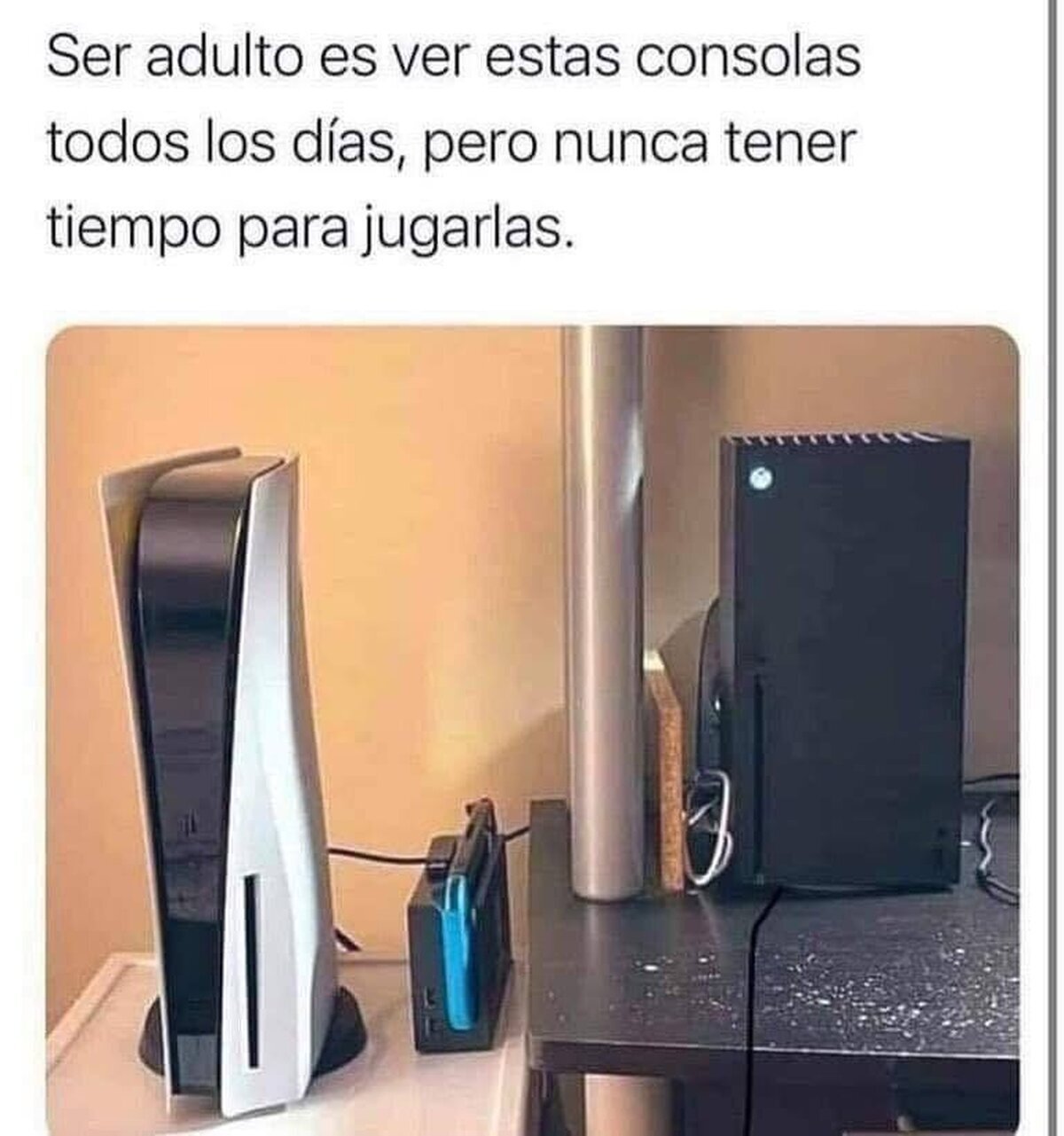 Me miran y los miro de vuelta...