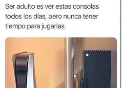 Me miran y los miro de vuelta...