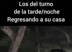 Feliz regreso a casa