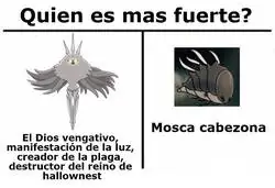 El poder de la mosca cabezona