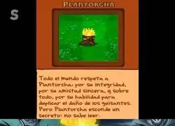 Plantorcha no sabe leer