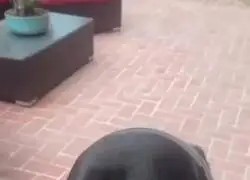 El OST de Dead Money, para poner en bucle