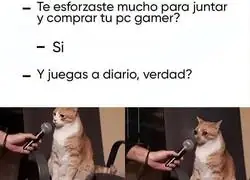 Pues ah&iacute; est&aacute;, se ve bonito...