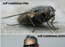 Sigue teniendo los mismos ojos...