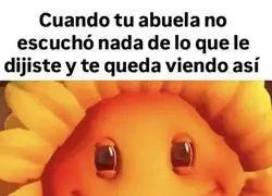 &iquest;Abuela, est&aacute;s ah&iacute;?