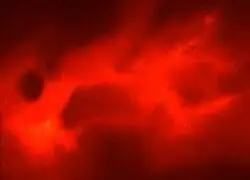 Hay un lugar reservado en el infierno para aquellos que se saltan este opening