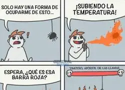 Anda, la ara&ntilde;a vino con segunda fase