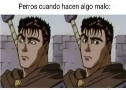 LOS GATOS SON MALOS