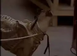 David Fincher usando un perrito como Xenomorfo en Alien 3