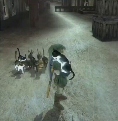 Los gatitos te seguían en Twilight Princess