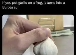 Esto es lo mas parecido a un pokemon real