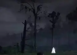 &iquest;Es esto posible en RDR2?