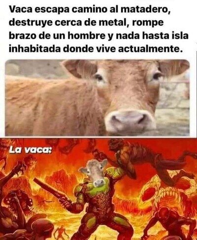 ¡Vamos vaquita!