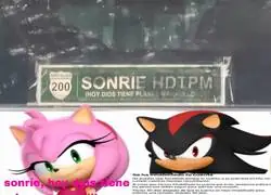 Diferencias de una chica y un chico