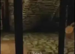 El guardia con m&aacute;s Swag de todo Tamriel