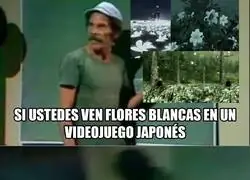 &iquest;Qu&eacute; les pasa con esas flores?