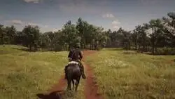 En RDR2 los caballos dejan marcas de sudor al retirarles el sill&iacute;n