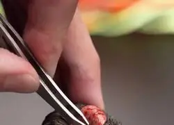 Es que s&iacute; dan ganas de pagar lo que sea que valga...