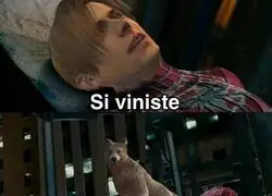 Como amo a ese perrete