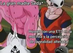 El arma secreta de Hornet