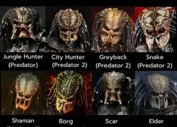 La evoluci&oacute;n del depredador y sus dise&ntilde;os