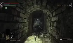 No recordaba que en el Demon's Souls original se pod&iacute;a hacer esto
