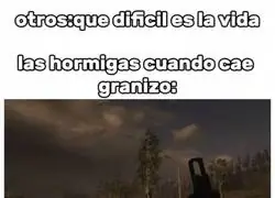 &iquest;Has pensado en las hormigas cuando graniza?