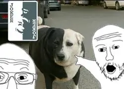 Veo Balatros en todos lados